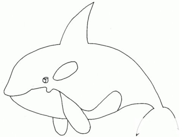 Simple strokes of whales (sea creatures)