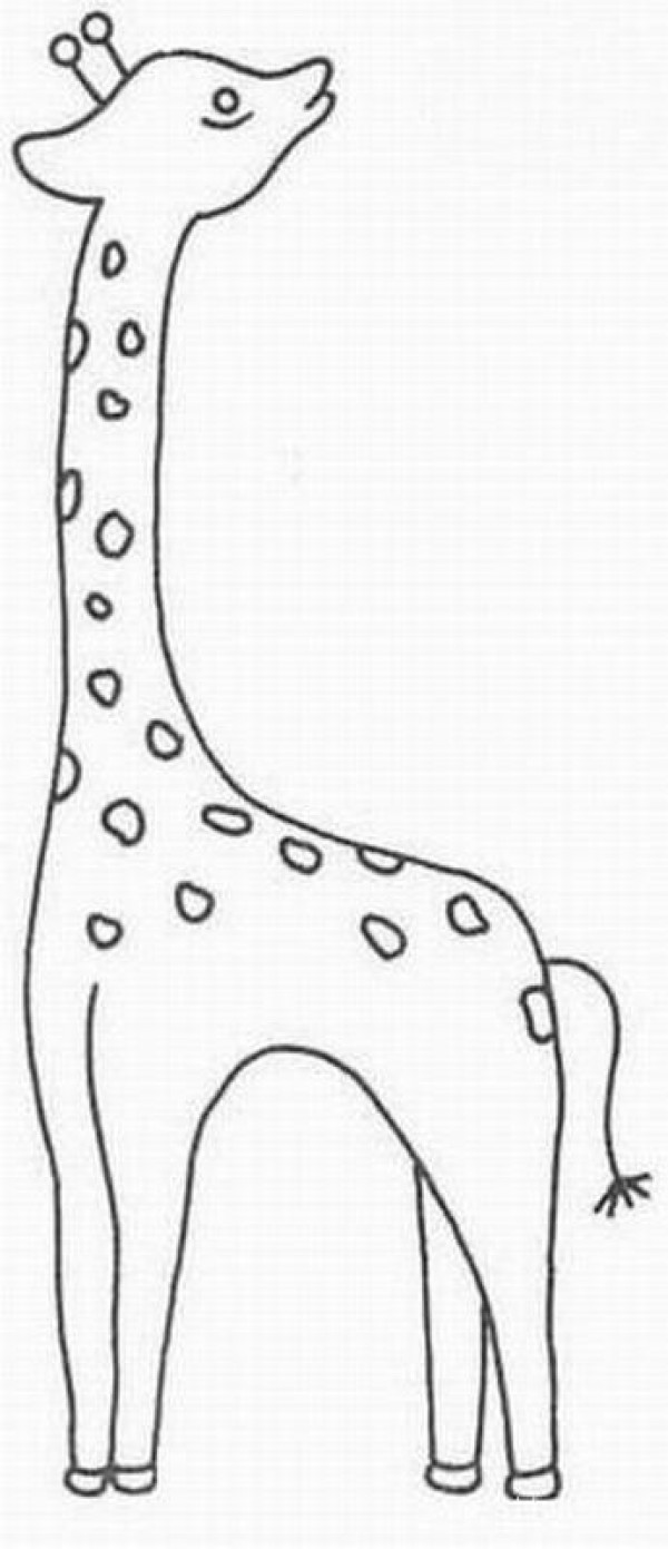 Childrens simple drawings about giraffes