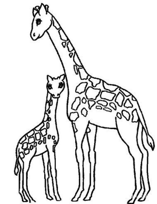 Animal simple drawings Giraffe simple drawings