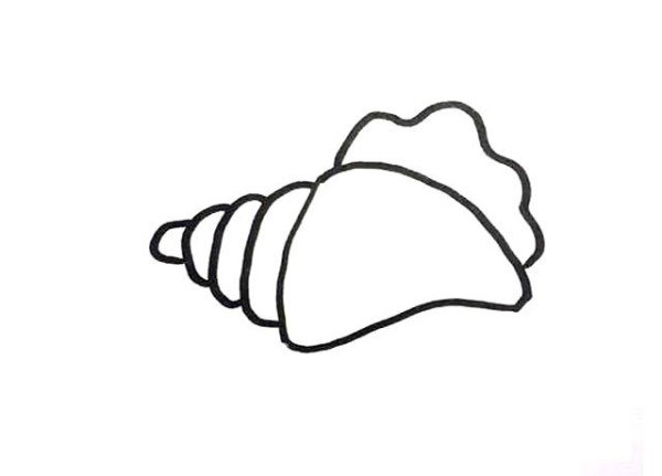 6 simple drawing pictures of shells