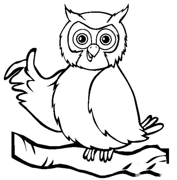 Bird simple drawing Owl simple drawing picture