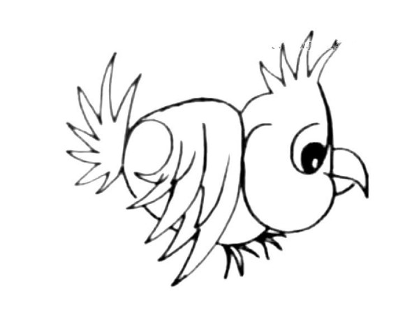 Flying bird simple drawing picture