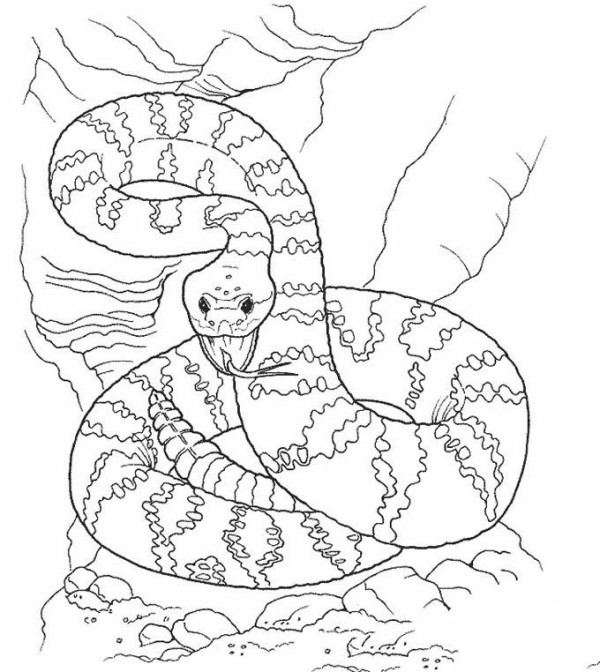 Simple drawing pictures about snakes