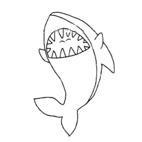 animal drawing shark