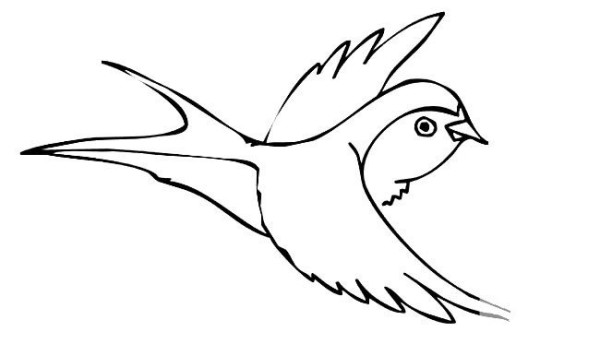 A complete collection of simple bird drawings. How to draw a swallow in simple strokes.