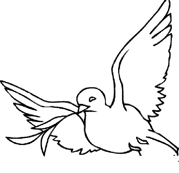 Teach you how to draw a peace dove simply