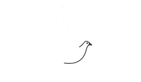 How to draw pigeons in simple strokes