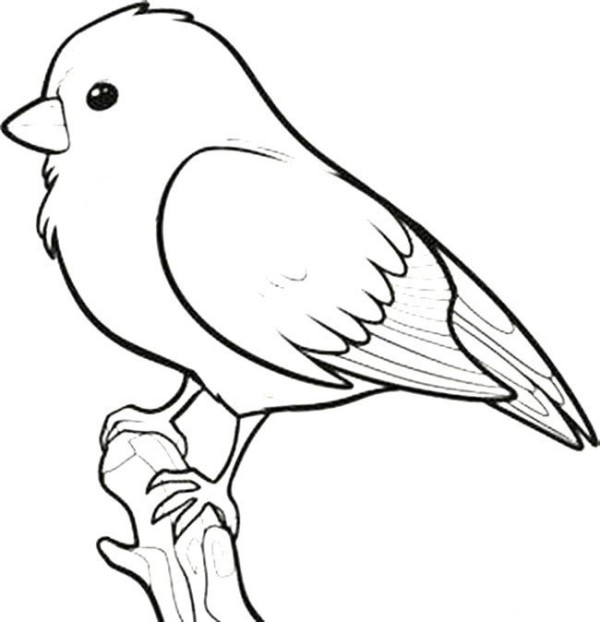 Complete collection of simple drawings of little birds, simple drawings of little sparrows