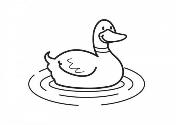 Animal simple drawings Simple drawing pictures of ducks in the water