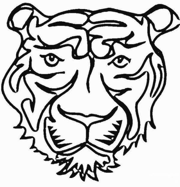 Simple drawing of ferocious tiger head