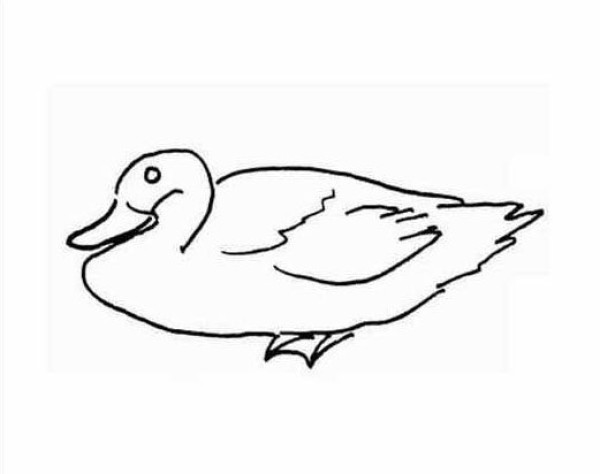 Simple drawing picture of duck