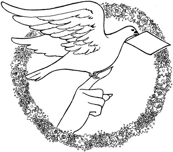 Peace Messenger Peace Dove Simple Drawing Picture