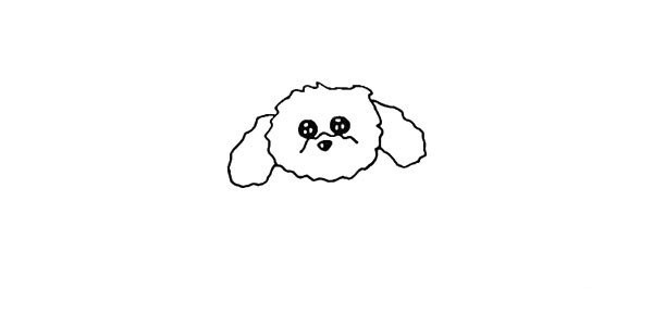 How to draw a teddy dog