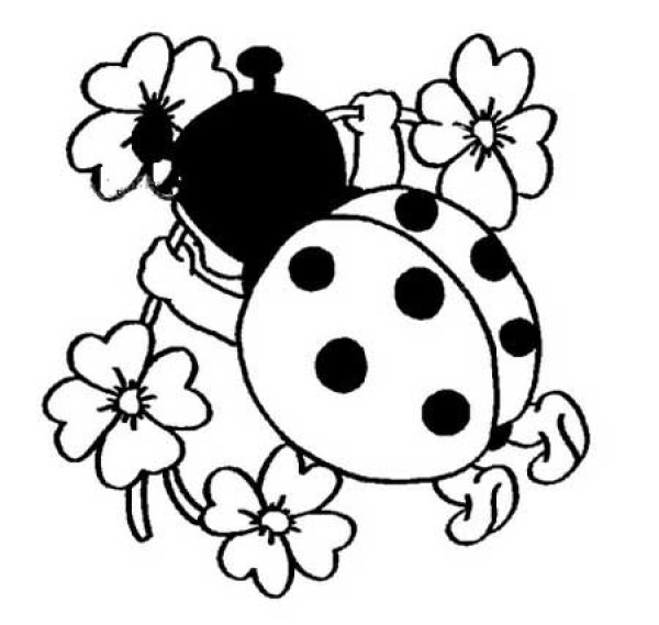 Simple drawing of seven-star ladybug in flowers