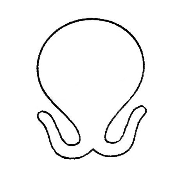 Complete collection of octopus simple strokes and drawing steps