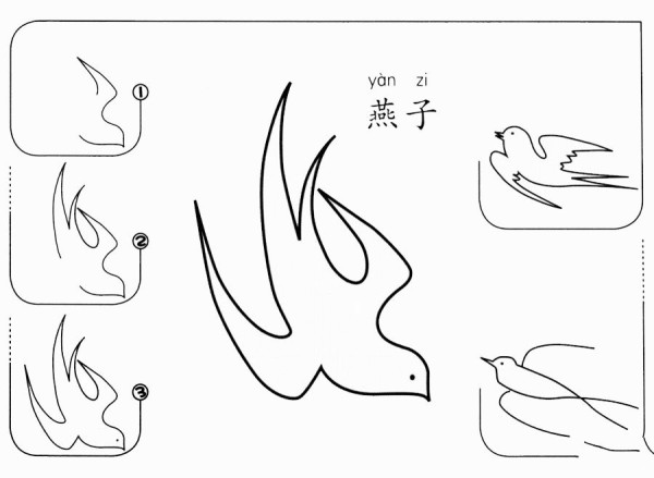 How to draw a swallow