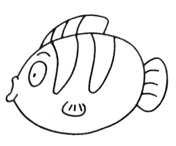 Draw an angel fish in four steps