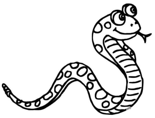 A selection of simple drawing pictures about snakes