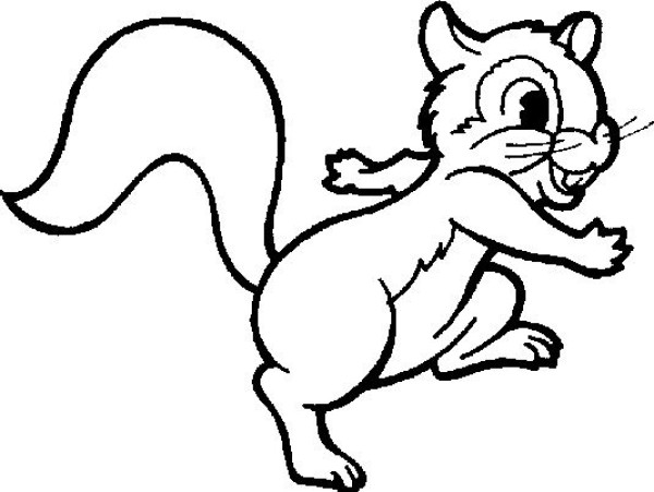 Simple line drawing of squirrel