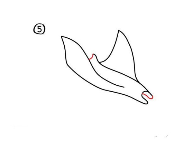 How to draw a manta ray. Steps to draw a manta ray in simple strokes.