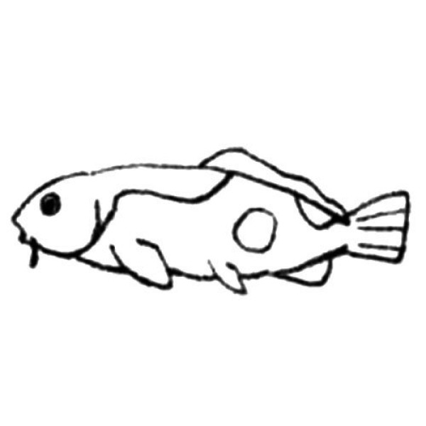 Koi simple strokes drawing tutorial