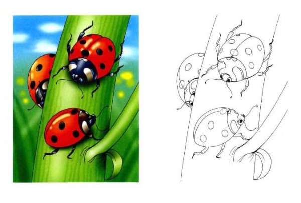 How to draw ladybugs