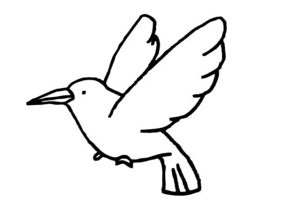 Simple picture of peace dove