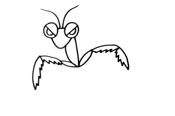 How to draw a cartoon mantis