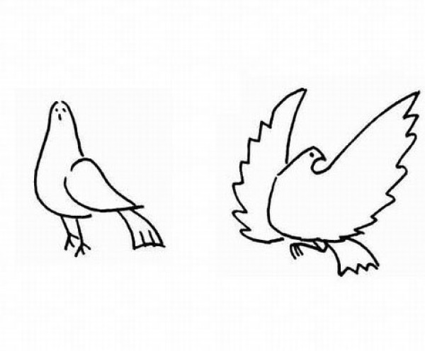 Simple animal drawings for children, peace dove