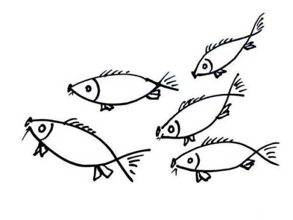 Simple drawing method of carp