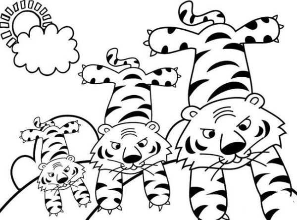 Simple drawing of tigers Simple drawing pictures of three tigers