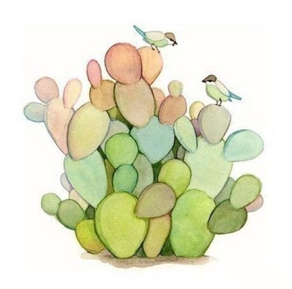 Sharing of watercolor paintings of cacti and birds suitable for copying