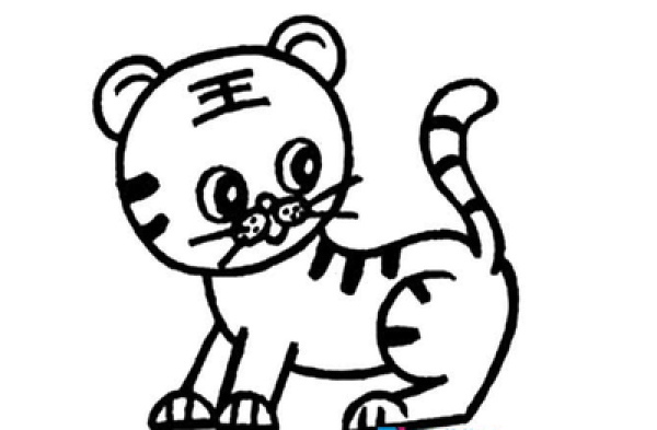 Animal simple drawing tiger tiger picture simple drawing