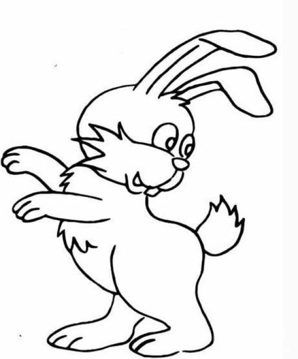 Childrens simple drawings of animals and rabbits Complete collection of simple drawings of animals and rabbits