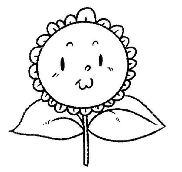 Hand drawn cartoon sunflower sketch