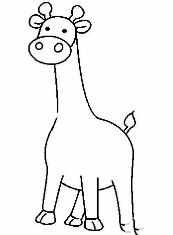 Fat giraffe