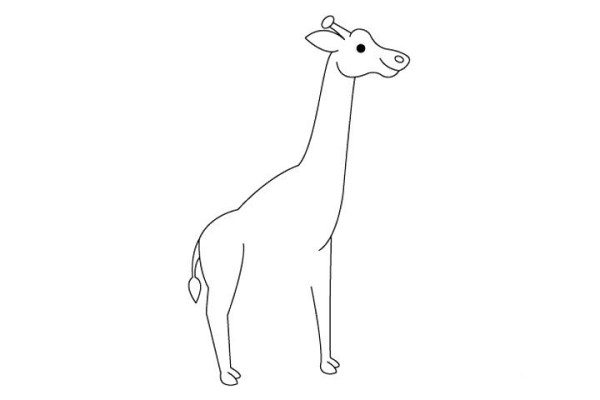 How to draw a giraffe in simple strokes