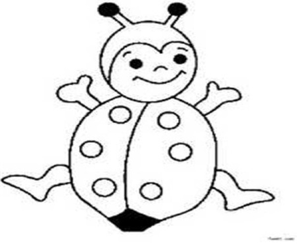 How to draw seven-star ladybug