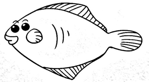 Flounder simple strokes picture