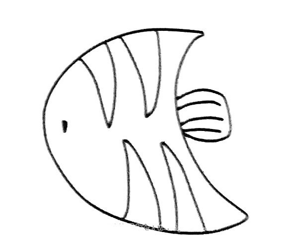 Complete picture collection of simple strokes of angel fish