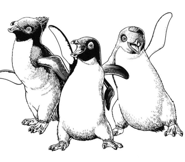 Penguin simple drawing, happy big feet simple drawing collection