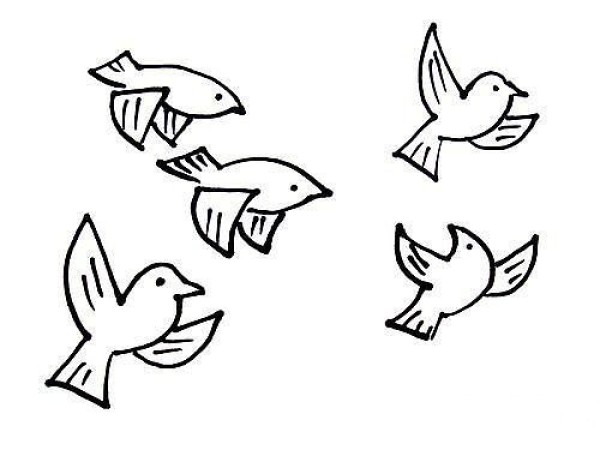 A complete collection of bird simple drawing pictures