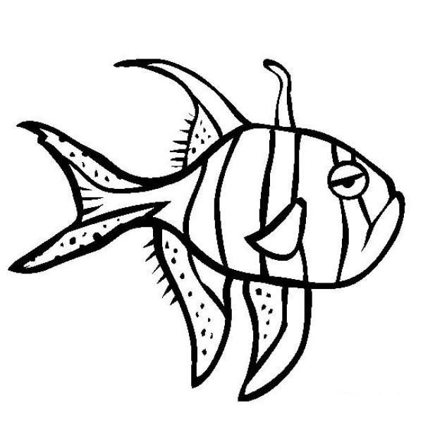 Marine life pictures Surabaya rose fish simple drawing pictures