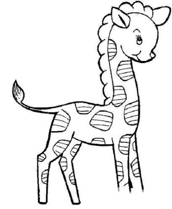 Childrens simple drawings about giraffes