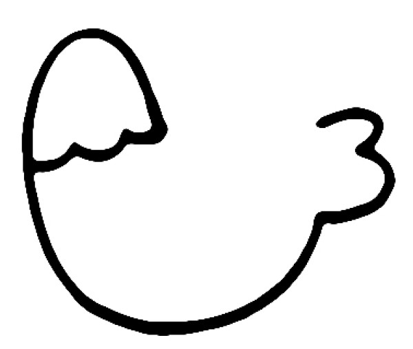 How to draw simple animal pigeons for children