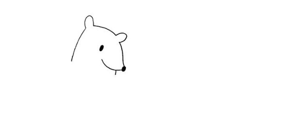 How to draw a polar bear