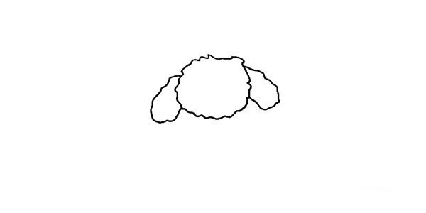 How to draw a teddy dog