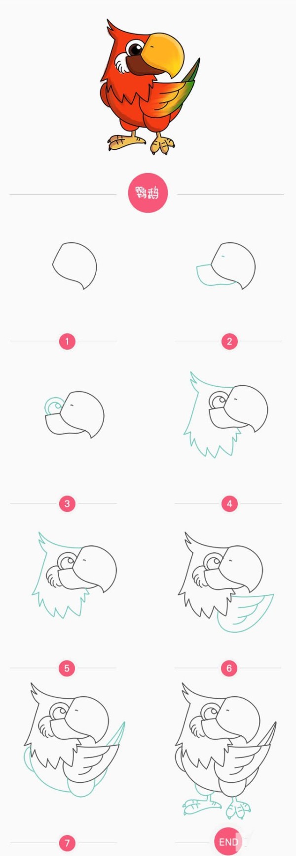 How to draw a parrot with simple strokes