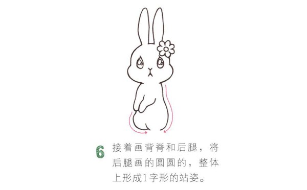 bunny with erect ears