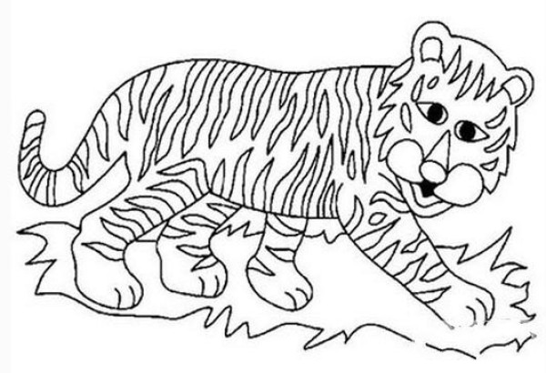 Appreciation of Tigers Simple Drawings Tigers Simple Drawings